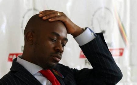 Nelson Chamisa Denies Prime Minister Ambitions Amid Audio Leak Storm .