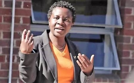 Jessie Majome moved from ZHRC chairperson role in reshuffle