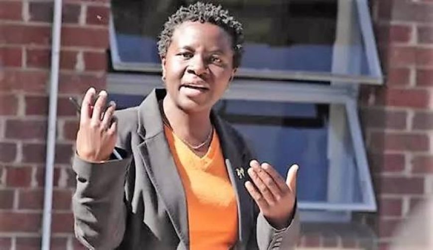 Jessie Majome moved from ZHRC chairperson role in reshuffle