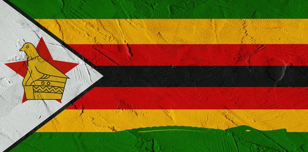 From Liberation Heroes to Political Outsiders: The Struggle of Zimbabwe’s Youth