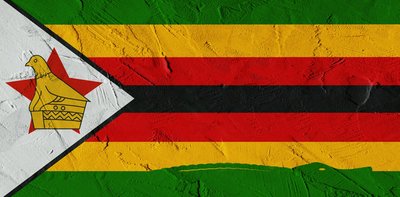 From Liberation Heroes to Political Outsiders: The Struggle of Zimbabwe’s Youth