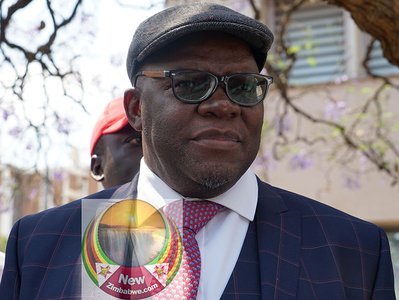 Madhuku, Biti file urgent court bid over police disruptions at private meetings