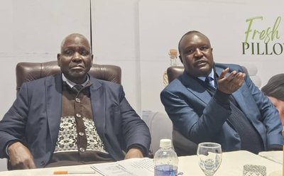 Government mobilises chiefs to endorse controversial Constitution Bill