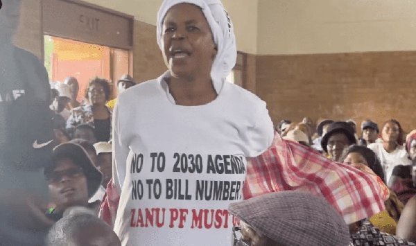 Bulawayo Constitutional Hearing Erupts as Woman Ejected for Protest Attire