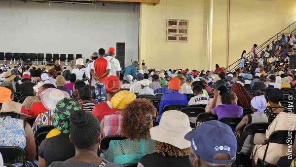 Public hearings or public intimidation?