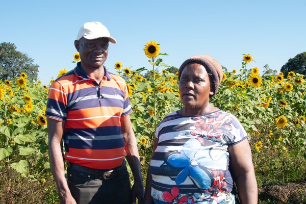 Changing gender roles on Zimbabwe’s land reform farms