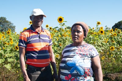 Changing gender roles on Zimbabwe’s land reform farms