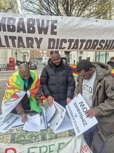 Zimbabwe's Proposed Constitutional Amendment Sparks Fierce Debate and Diaspora Protests