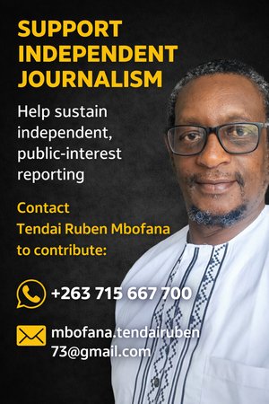 Chivayo's $3.6 Million Parliamentary Donation Raises Alarms Amid Constitutional Amendment Debate