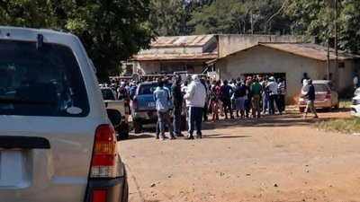 From Dairy Powerhouse to Decay: The Collapse of the Mugabe Family's Gushungo Estate