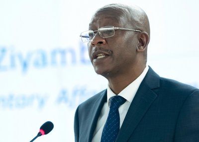 ‘No need to panic’: Govt downplays SA xenophobia fears