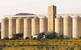 Zimbabwe Eyes Grain Surplus as Harvests Boost Food Security