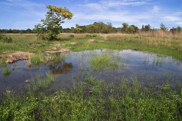 Ministry halts illegal construction at Harare’s protected Ramsar Site