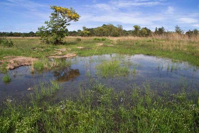 Ministry halts illegal construction at Harare’s protected Ramsar Site